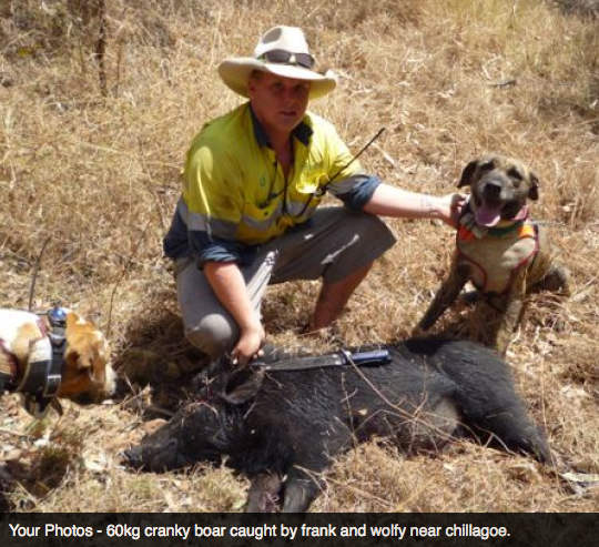 Screen Shot 2013-10-02 at 1.37.52 PM